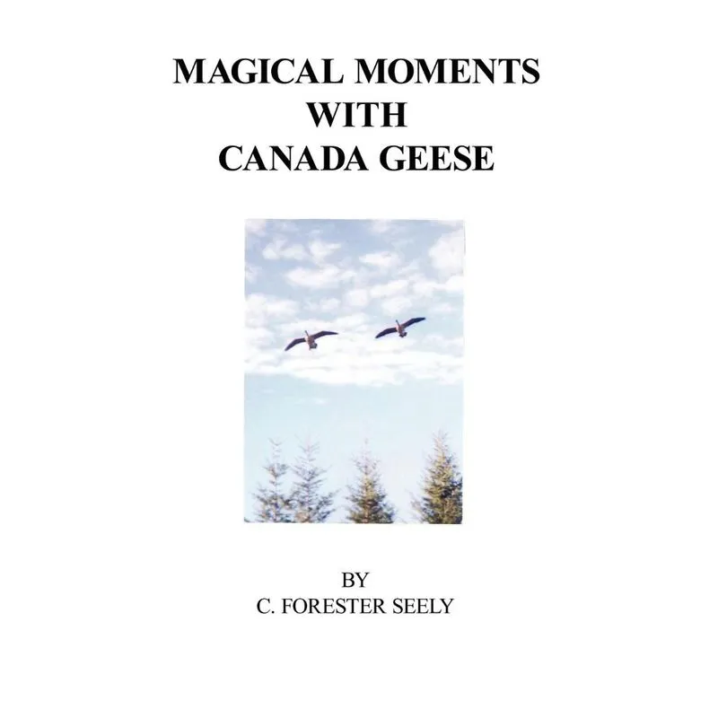 Magical Moments With Canada Geese