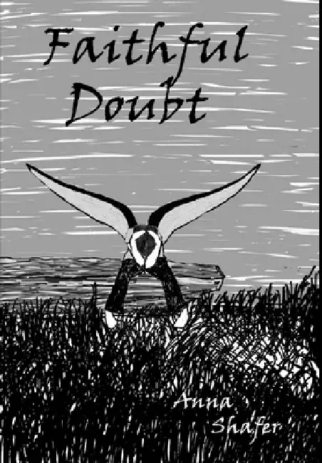 Faithful Doubt Hardcover Hardcover