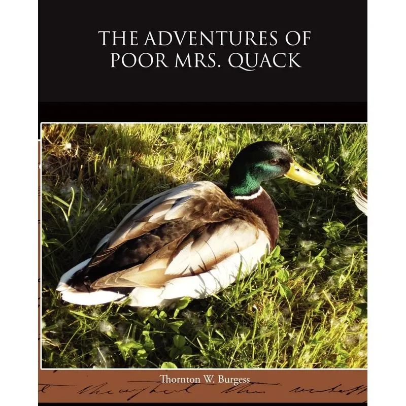 The Adventures of Poor Mrs Quack
