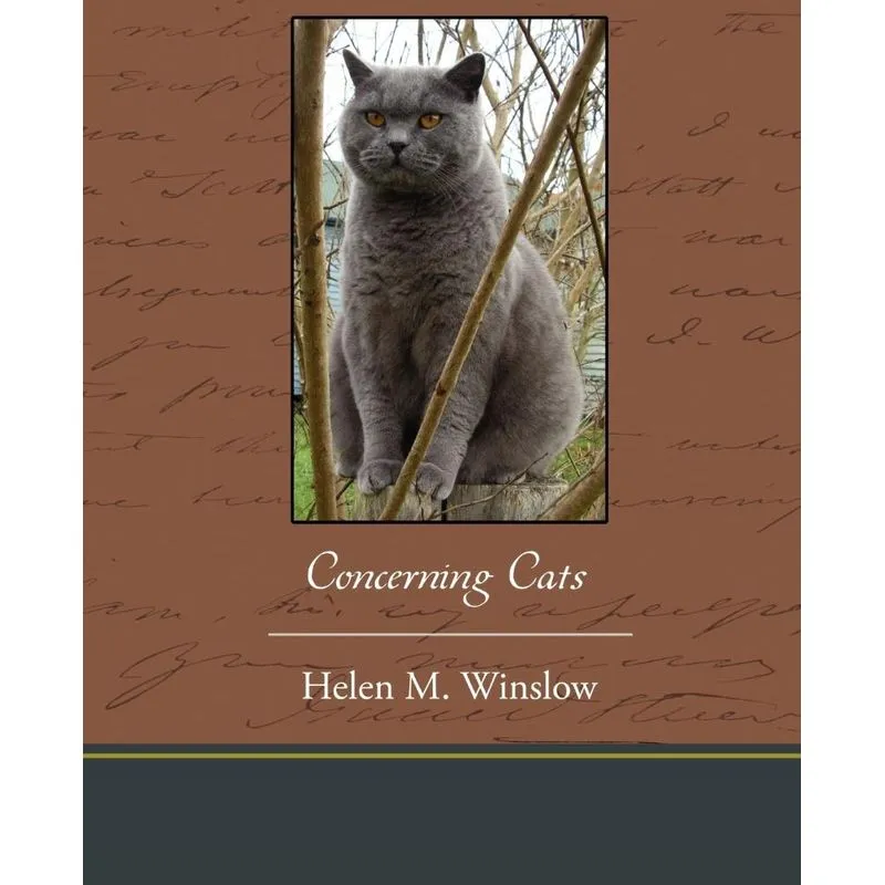 Concerning Cats