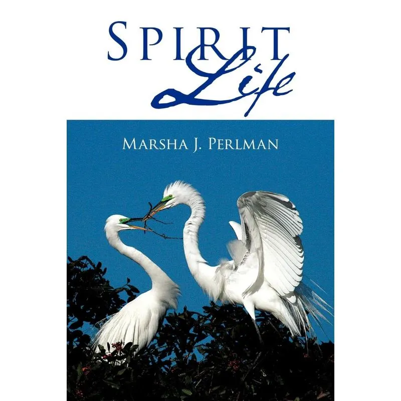Spirit Life