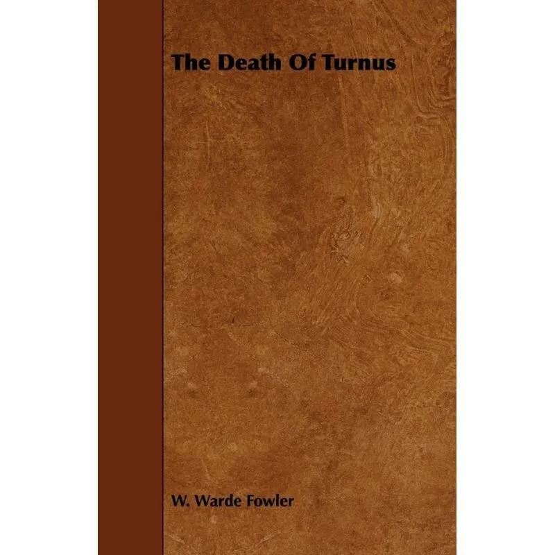 The Death Of Turnus