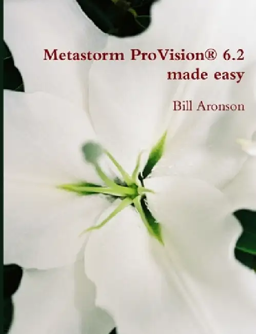 Metastorm ProVision 6.2 Made Easy Paperback