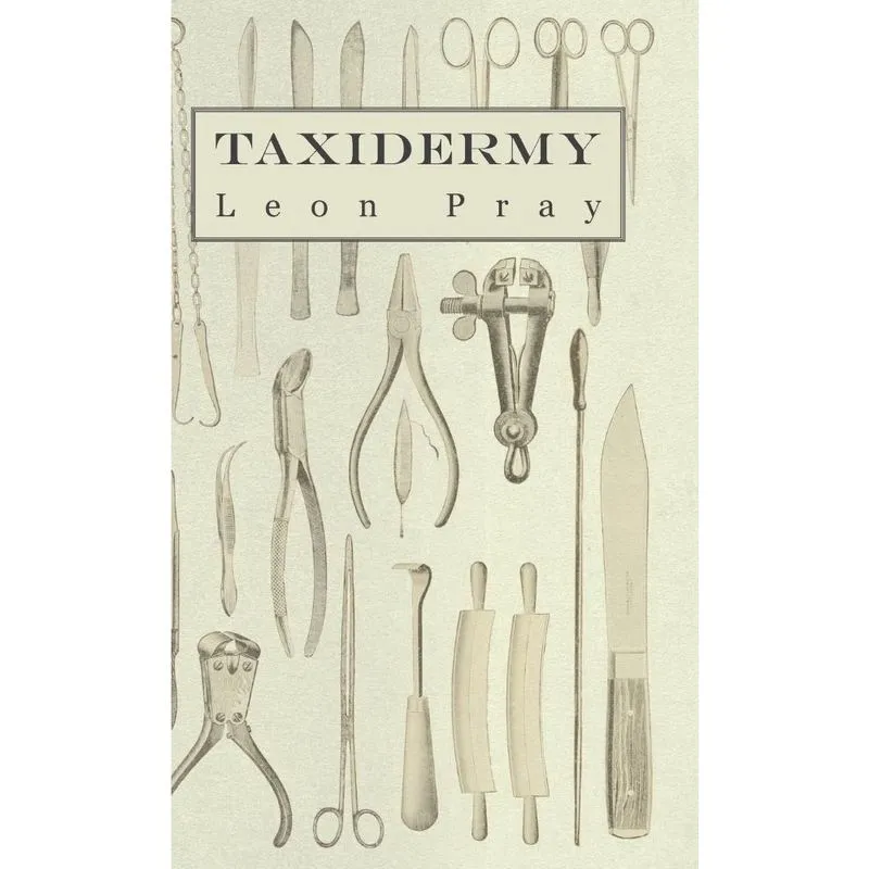 Taxidermy