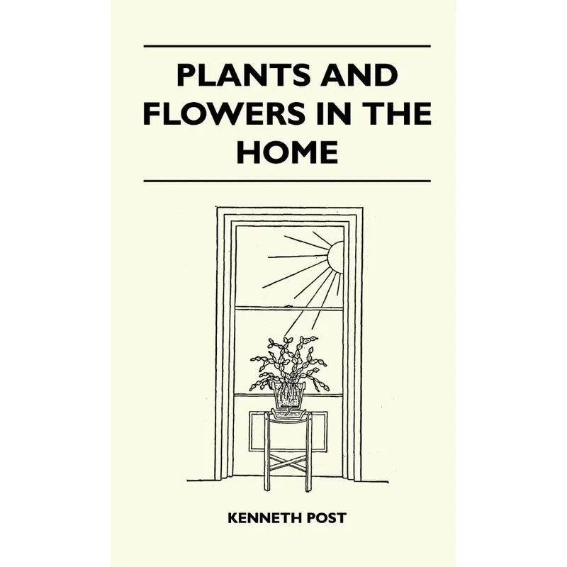 Plants And Flowers In The Home