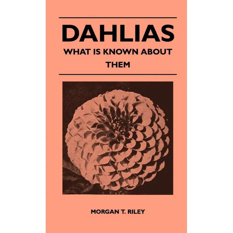 Dahlias - What Is Known About Them