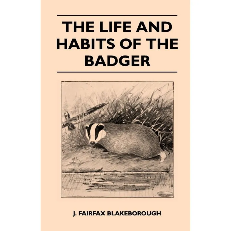 The Life and Habits of The Badger