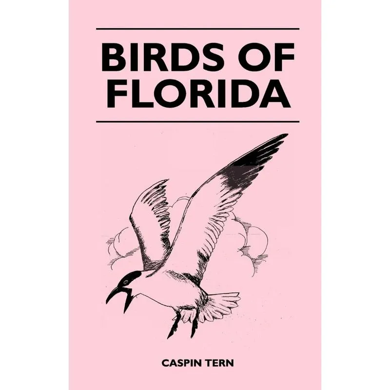 Birds Of Florida
