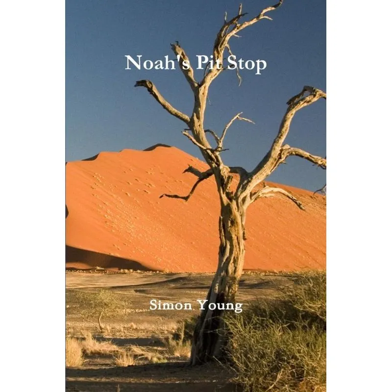 Noahs Pit Stop