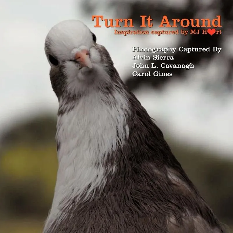 Turn It Around
