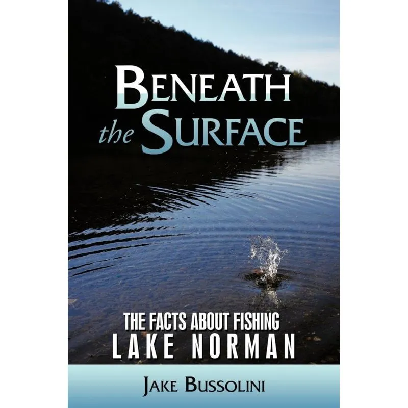 Beneath the Surface