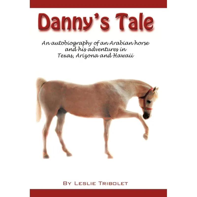Dannys Tale