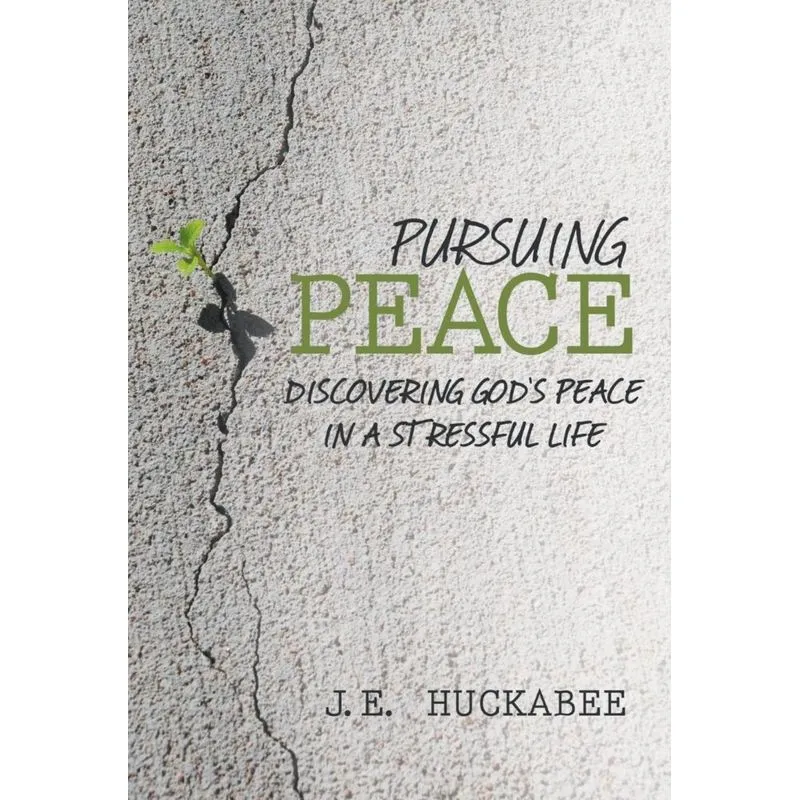 Pursuing Peace