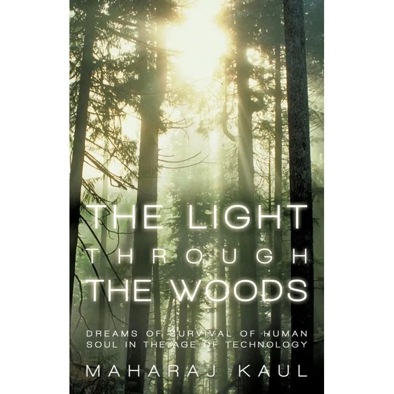 The Light through the Woods