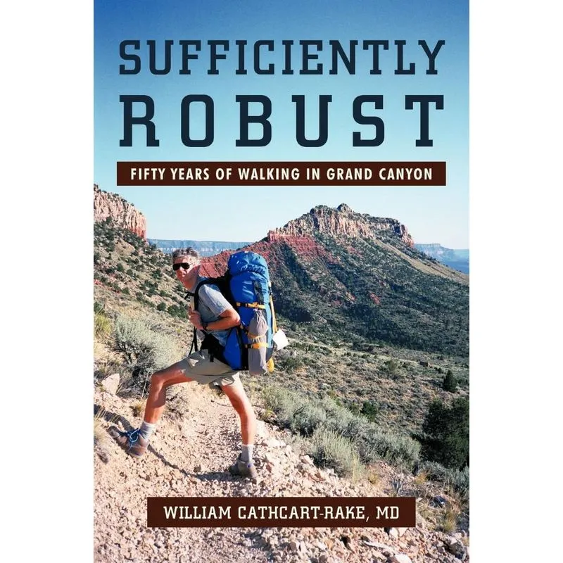 Sufficiently Robust