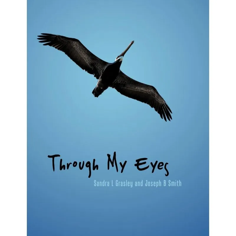 Through My Eyes
