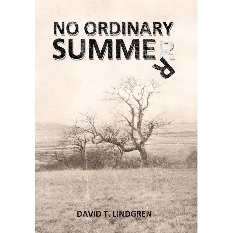 No Ordinary Summer