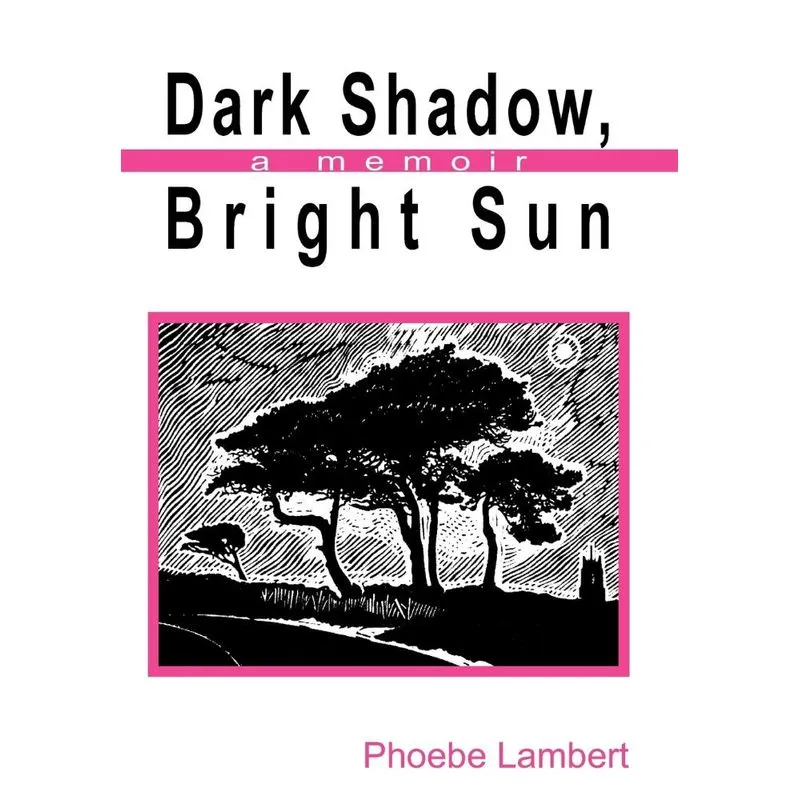Dark Shadow, Bright Sun