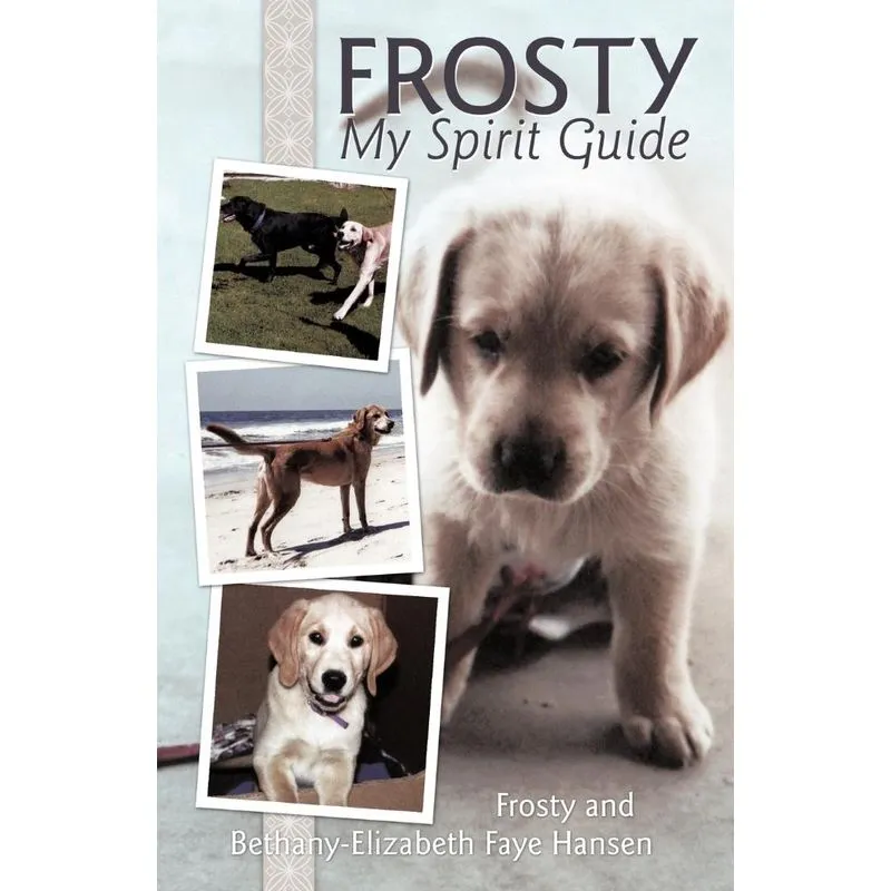 Frosty My Spirit Guide