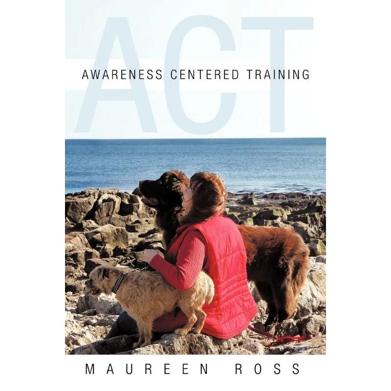 Awareness Centered Training - Act