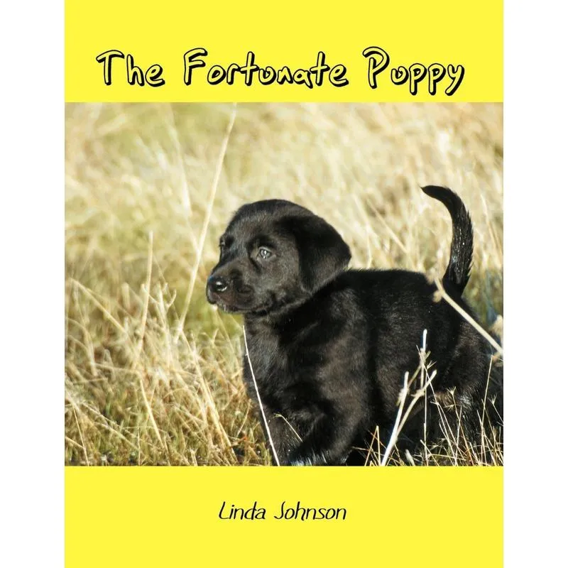 The Fortunate Puppy