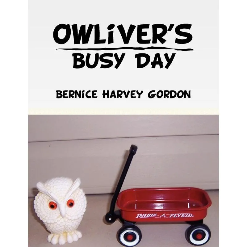 Owlivers Busy Day