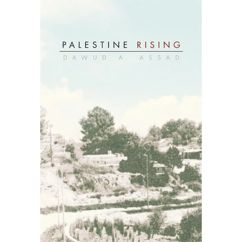 Palestine Rising