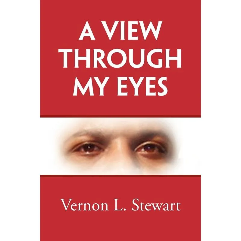 A View Through My Eyes