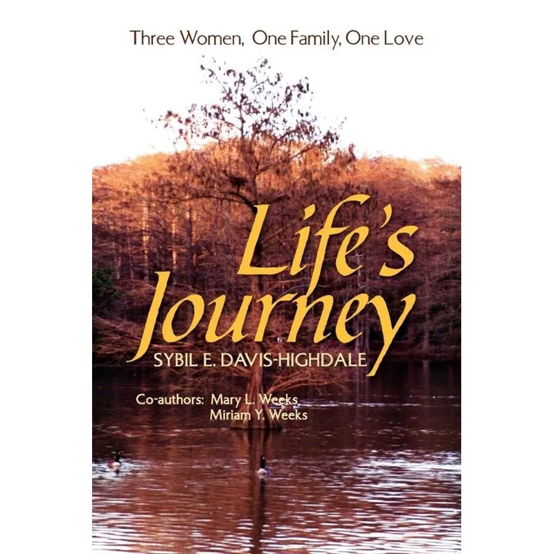 Lifes Journey