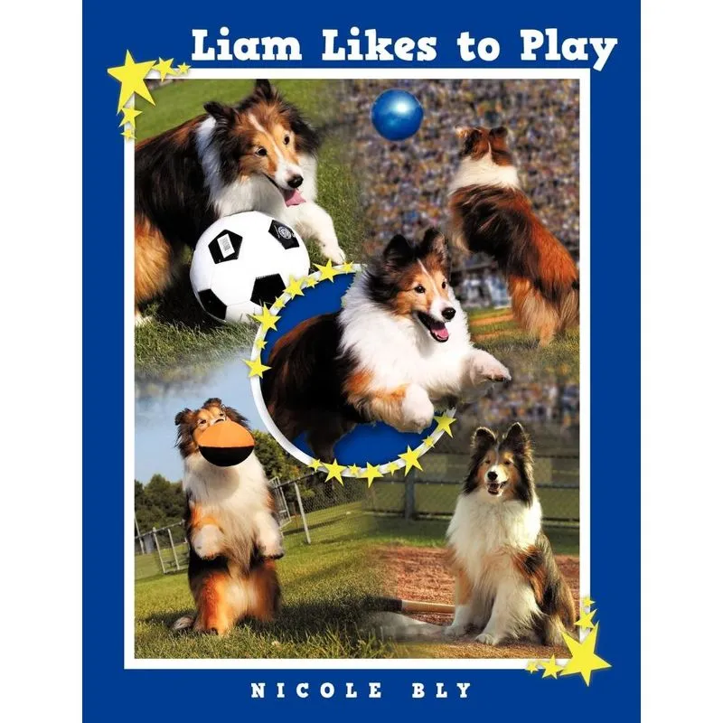 Liam Likes To Play