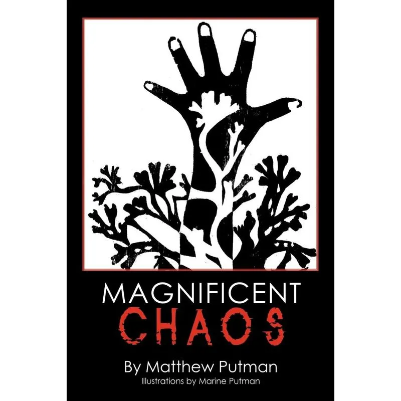 Magnificent Chaos