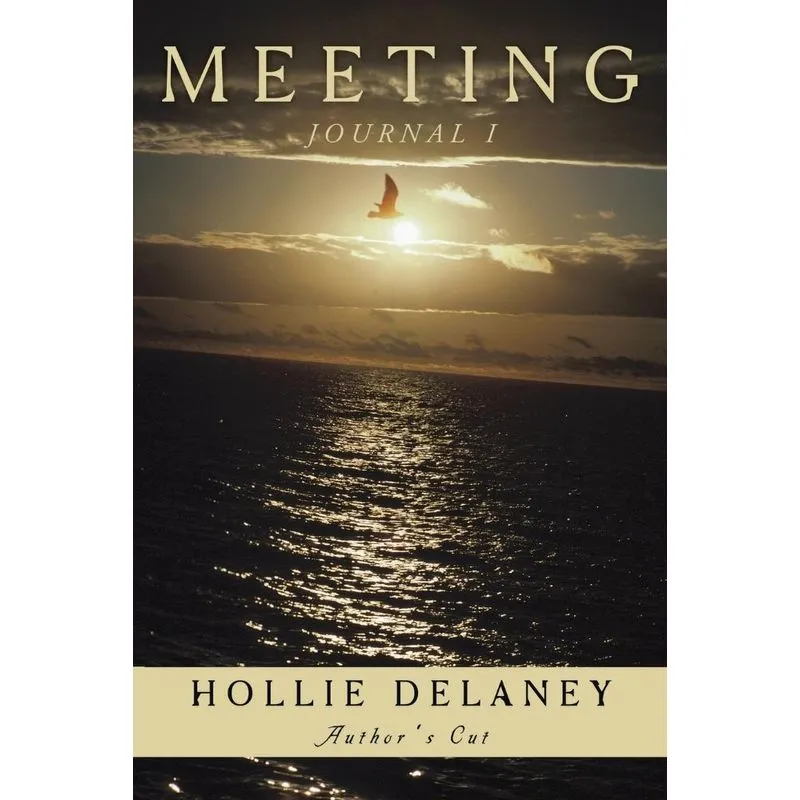 Meeting