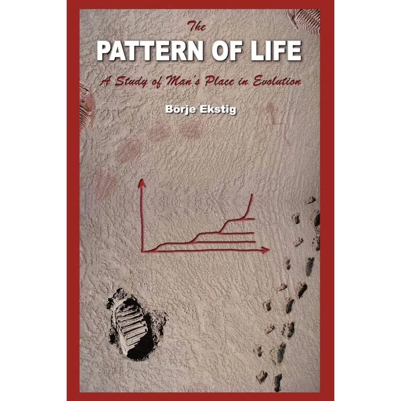 The Pattern of Life