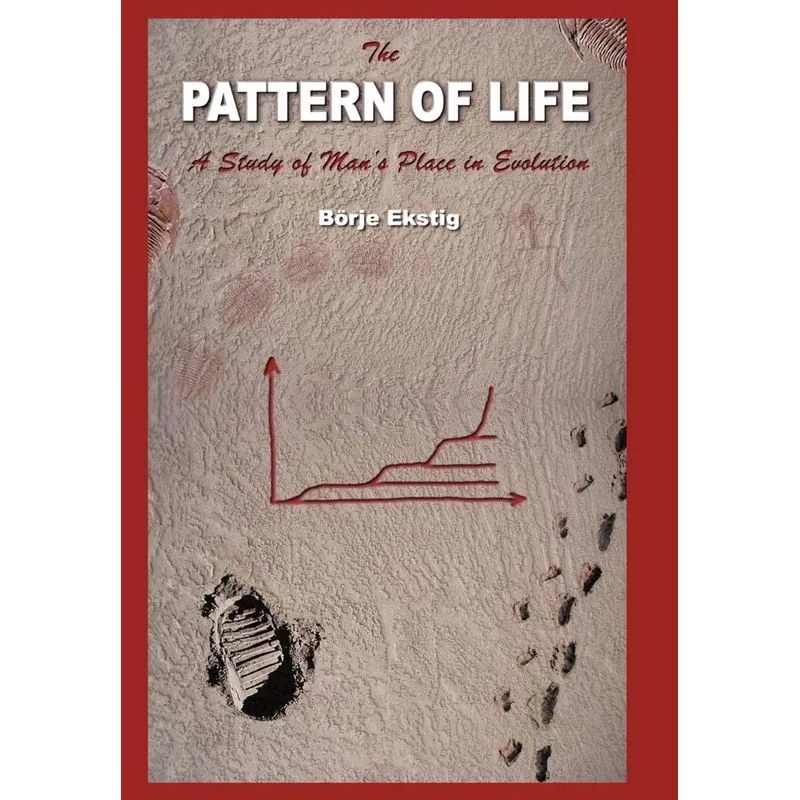 The Pattern of Life