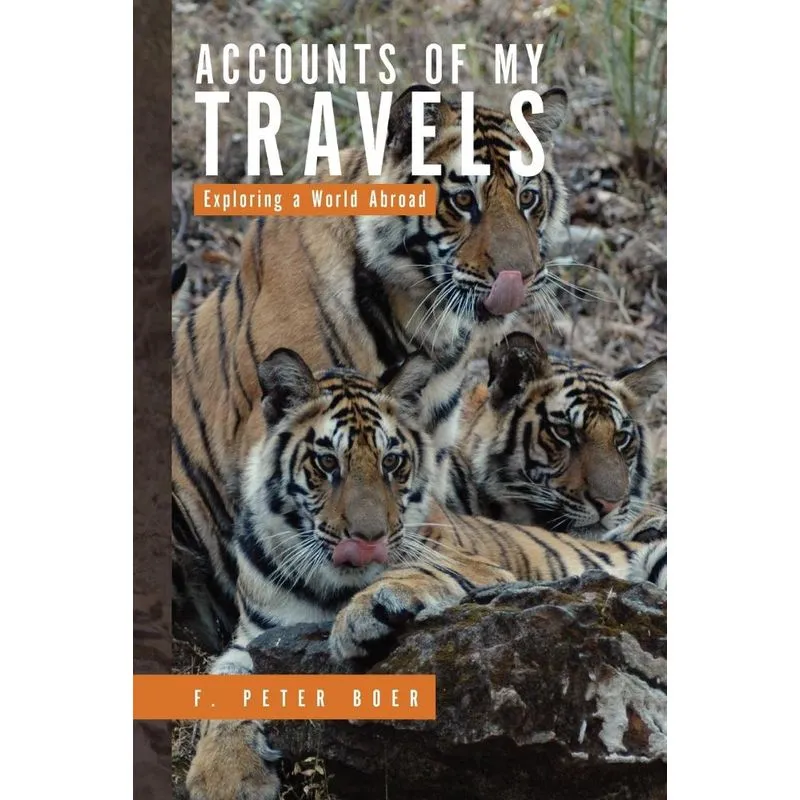 Accounts of My Travels