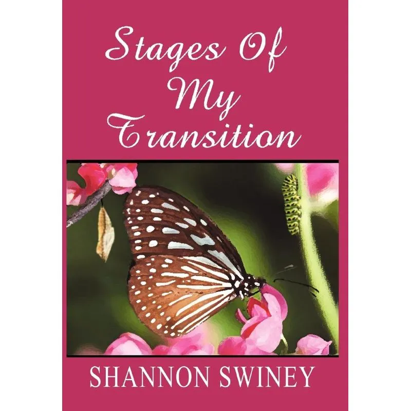 Stages Of My Transitions