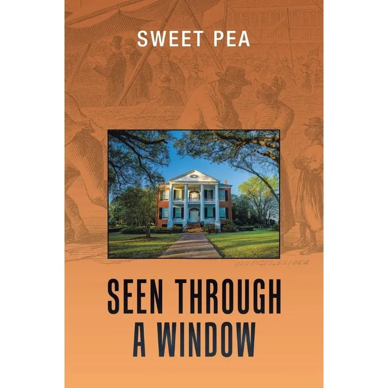 Seen Through a Window