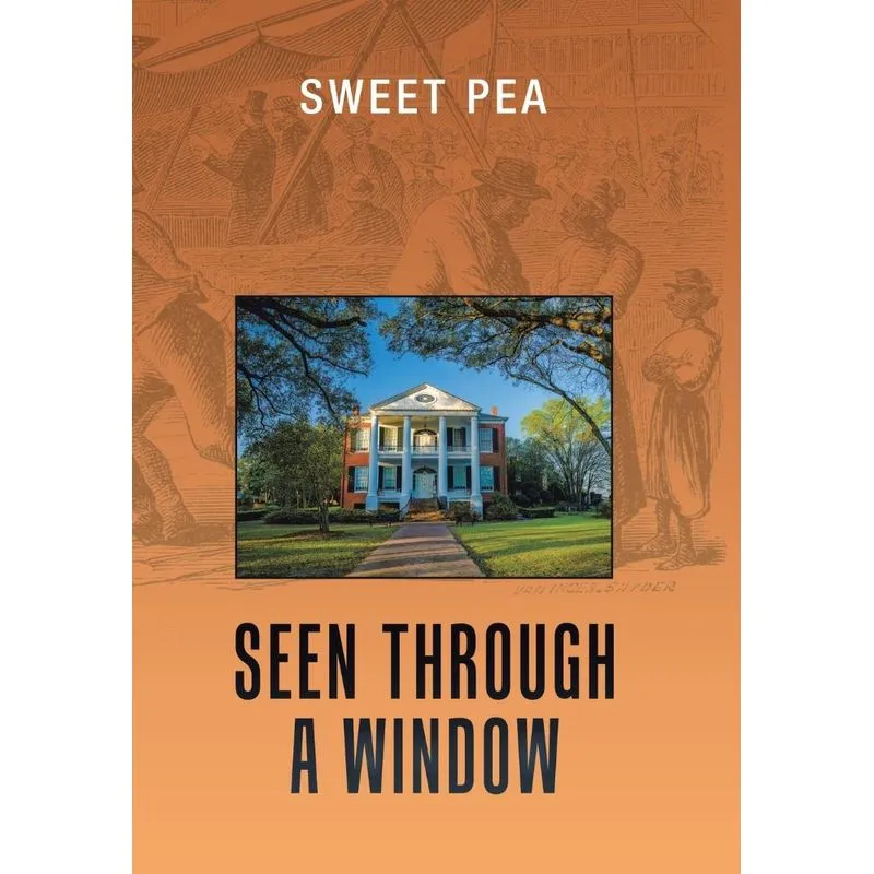 Seen Through a Window