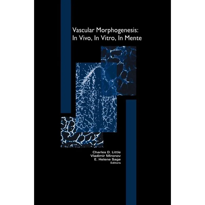 Vascular Morphogenesis