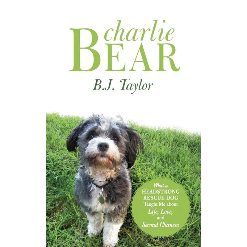 Charlie Bear