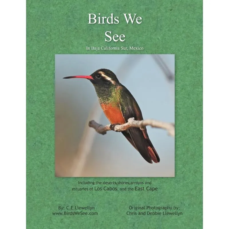Birds We See