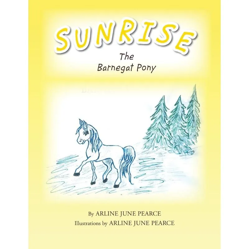 Sunrise the Barnegat Pony