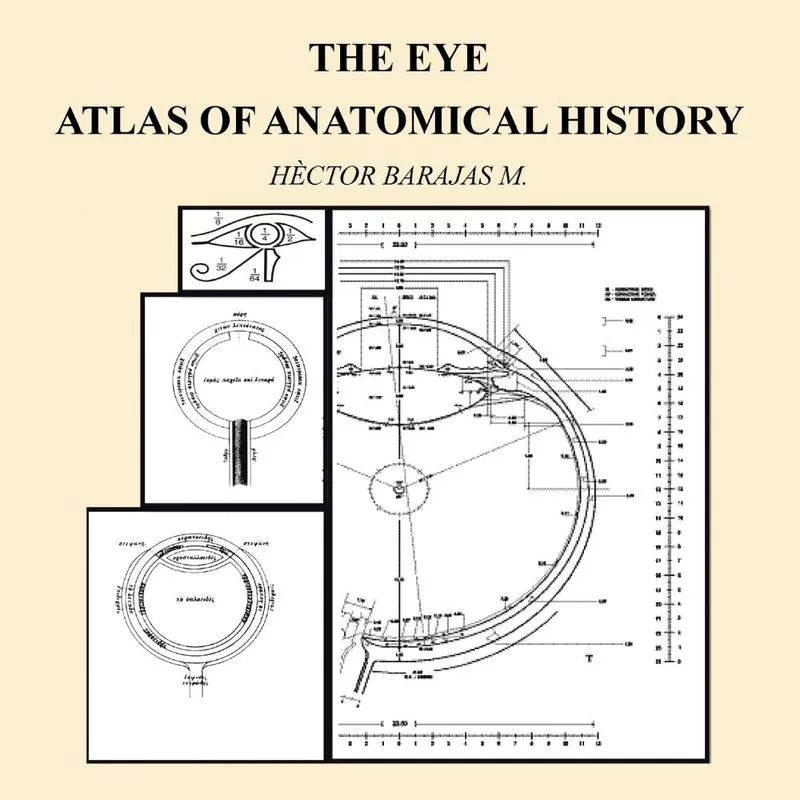 The Eye