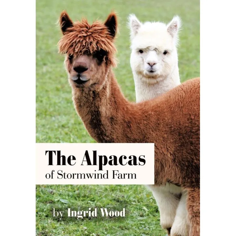 The Alpacas of Stormwind Farm