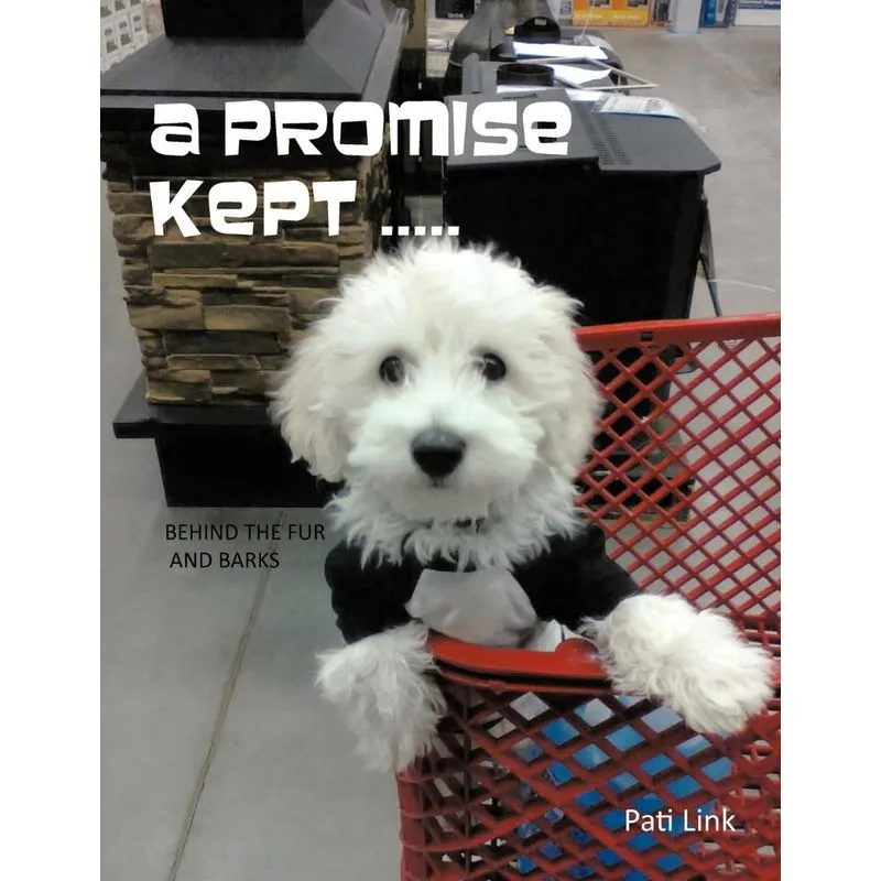 A Promise Kept .....