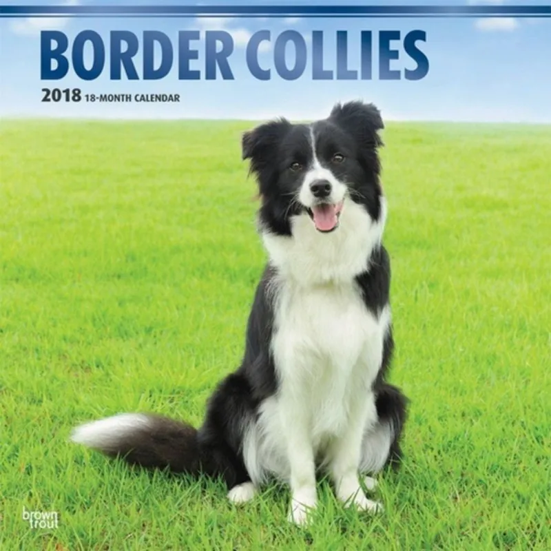 BORDER COLLIES 2018 CALENDAR