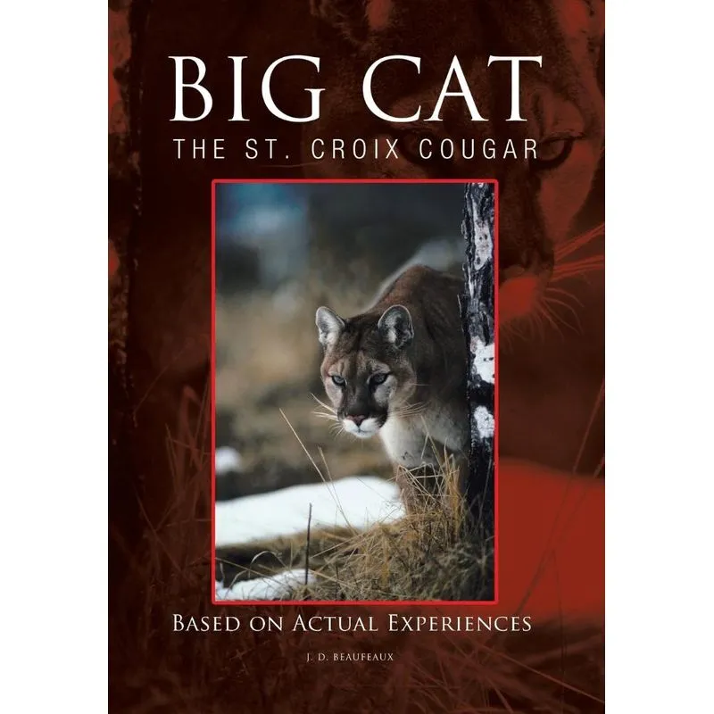 Big Cat