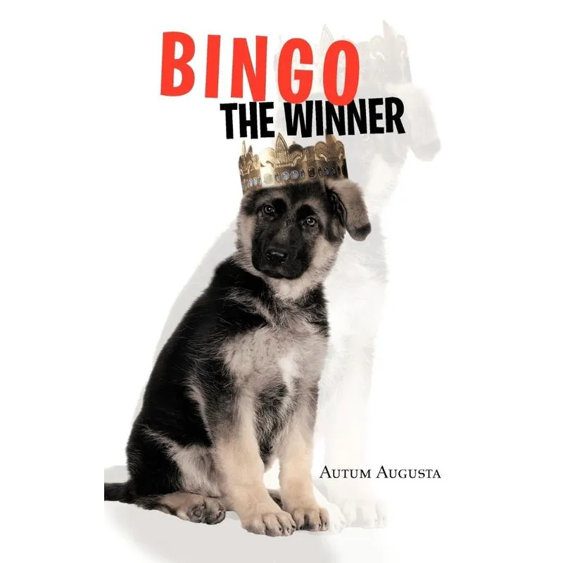 Bingo the Winner