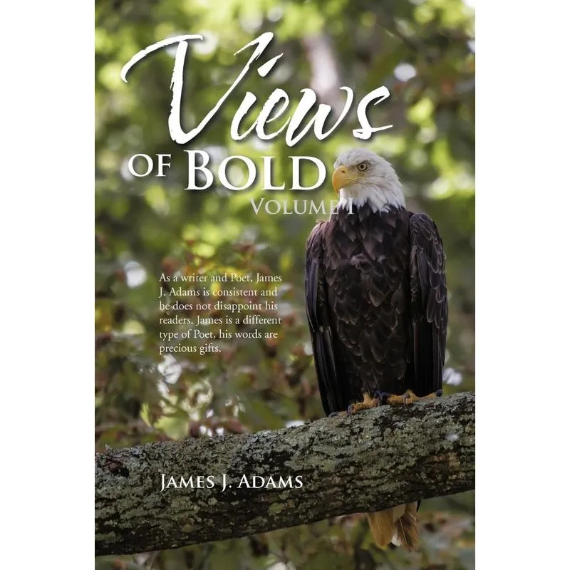 Views of Bold