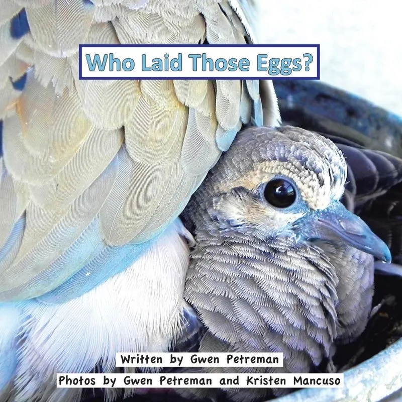 Who Laid Those Eggs?